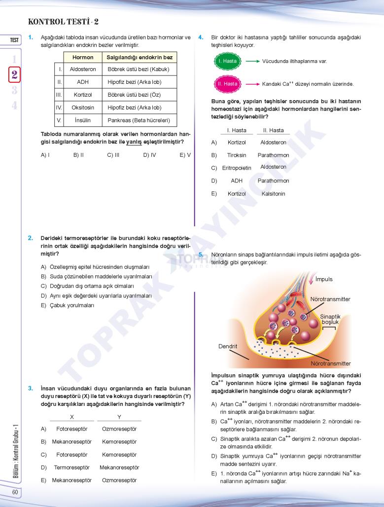 Toprak Yayıncılık